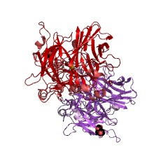Example Structure of retinoid isomerohydrolase EC#: 3.1.1.64