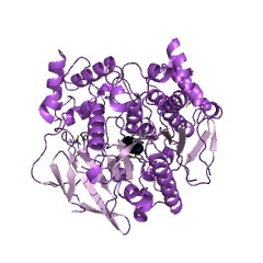 Example Structure of acetylcholinesterase EC#: 3.1.1.7