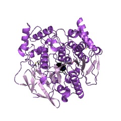 Beispielstruktur der Acetylcholinesterase EC #: 3.1.1.7