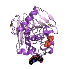 Example Structure of feruloyl esterase EC#: 3.1.1.73