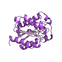 Example Structure of cutinase EC#: 3.1.1.74