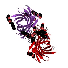 Example Structure of acyloxyacyl hydrolase EC#: 3.1.1.77