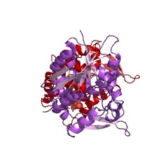 Example Structure of polyneuridine-aldehyde esterase EC#: 3.1.1.78