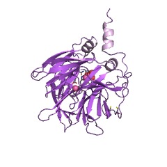 Example Structure of quorum-quenching N-acyl-homoserine lactonase EC#: 3.1.1.81