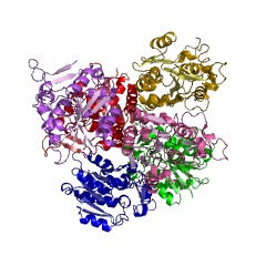 Example Structure of pheophorbidase EC#: 3.1.1.82