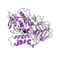 Example Structure of cocaine esterase EC#: 3.1.1.84