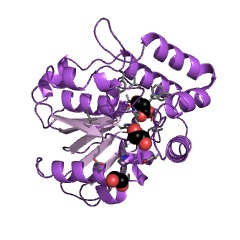 Example Structure of pimelyl-[acyl-carrier protein] methyl ester esterase EC#: 3.1.1.85