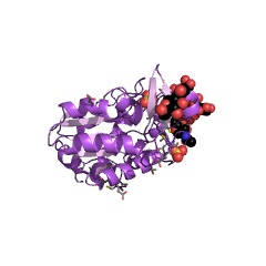 Example Structure of rhamnogalacturonan acetylesterase EC#: 3.1.1.86
