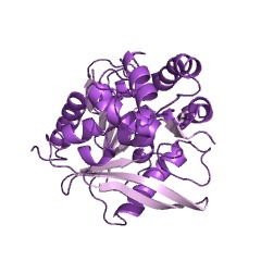 Example Structure of protein phosphatase methylesterase-1 EC#: 3.1.1.89