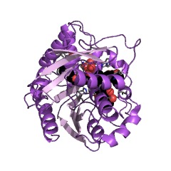 Example Structure of aclacinomycin methylesterase EC#: 3.1.1.95