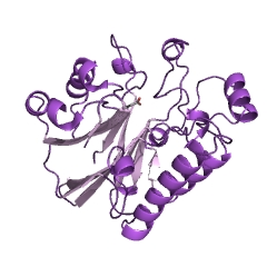 Example Structure of exodeoxyribonuclease III EC#: 3.1.11.2