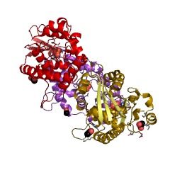 Example Structure of exodeoxyribonuclease (lambda-induced) EC#: 3.1.11.3