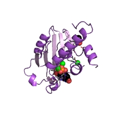 Example Structure of exoribonuclease II EC#: 3.1.13.1
