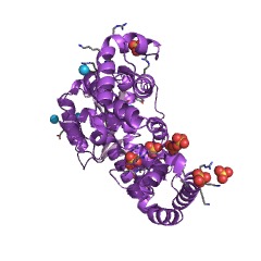 Example Structure of ribonuclease D EC#: 3.1.13.5