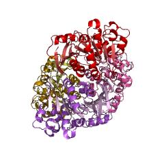 Example Structure of S-formylglutathione hydrolase EC#: 3.1.2.12