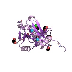 Example Structure of ubiquitin thiolesterase EC#: 3.1.2.15