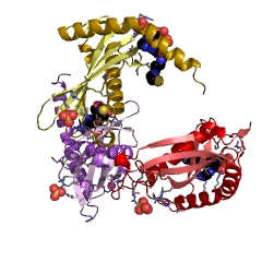 Example Structure of acyl-CoA hydrolase EC#: 3.1.2.20