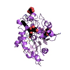 Example Structure of palmitoyl[protein] hydrolase EC#: 3.1.2.22