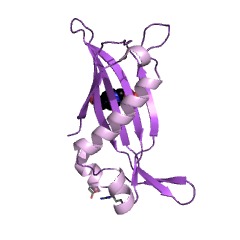 Example Structure of 4-hydroxybenzoyl-CoA thioesterase EC#: 3.1.2.23