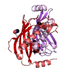 Example Structure of fluoroacetyl-CoA thioesterase EC#: 3.1.2.29