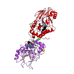Example Structure of hydroxyacylglutathione hydrolase EC#: 3.1.2.6
