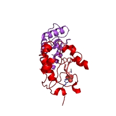 Example Structure of deoxyribonuclease I EC#: 3.1.21.1