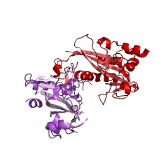 Example Structure of type II site-specific deoxyribonuclease EC#: 3.1.21.4