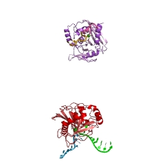 Example Structure of deoxyribonuclease V EC#: 3.1.21.7