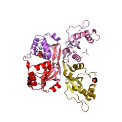 Example Structure of T4 deoxyribonuclease II EC#: 3.1.21.8