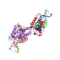 Example Structure of deoxyribonuclease (pyrimidine dimer) EC#: 3.1.25.1