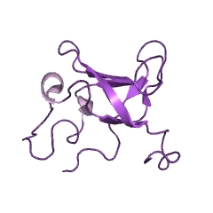 Example Structure of ribonuclease E EC#: 3.1.26.12
