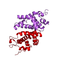 Example Structure of ribonuclease III EC#: 3.1.26.3