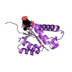 Example Structure of ribonuclease H EC#: 3.1.26.4