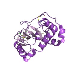 Example Structure of ribonuclease T2 EC#: 3.1.27.1