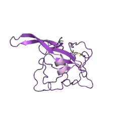 Example Structure of rRNA endonuclease EC#: 3.1.27.10