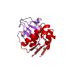 Example Structure of ribonuclease T1 EC#: 3.1.27.3