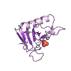 Example Structure of ribonuclease U2 EC#: 3.1.27.4