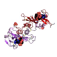 Example Structure of pancreatic ribonuclease EC#: 3.1.27.5