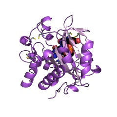 Example Structure of Enterobacter ribonuclease EC#: 3.1.27.6