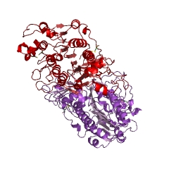 Example Structure of alkaline phosphatase EC#: 3.1.3.1