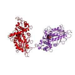 Example Structure of glucose-1-phosphatase EC#: 3.1.3.10