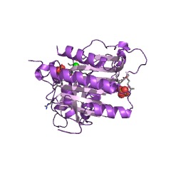 Example Structure of fructose-bisphosphatase EC#: 3.1.3.11
