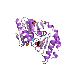 Example Structure of trehalose-phosphatase EC#: 3.1.3.12
