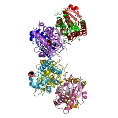 Example Structure of bisphosphoglycerate phosphatase EC#: 3.1.3.13