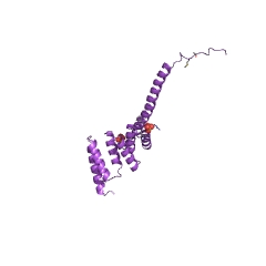 Example Structure of protein-serine/threonine phosphatase EC#: 3.1.3.16
