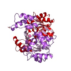 Example Structure of phosphoglycolate phosphatase EC#: 3.1.3.18