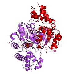 Example Structure of mannitol-1-phosphatase EC#: 3.1.3.22