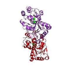 Example Structure of sugar-phosphatase EC#: 3.1.3.23