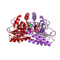 Example Structure of inositol-phosphate phosphatase EC#: 3.1.3.25