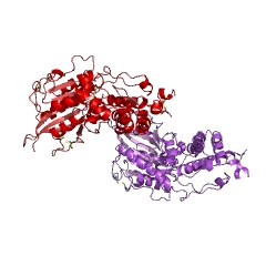 Example Structure of 4-phytase EC#: 3.1.3.26